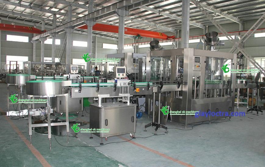 Dây chuyển rửa chiết đóng nắp chai bia tự động